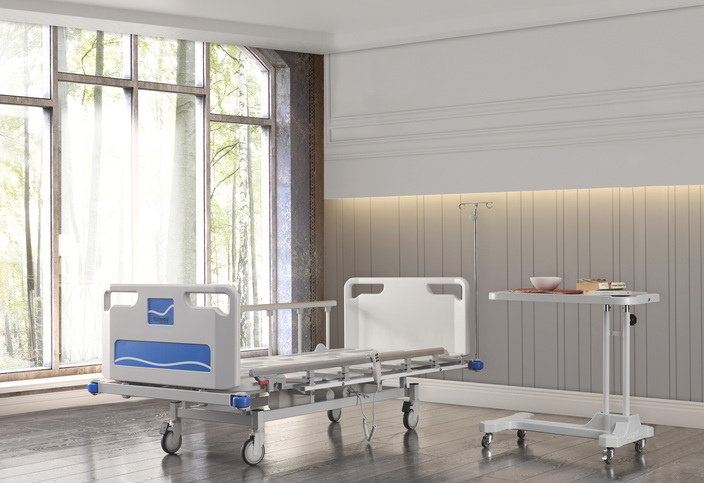 PATIENT BED (DUAL MOTOR)